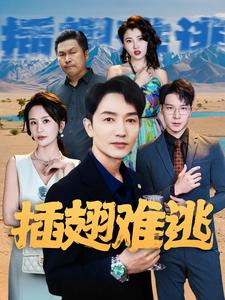 插翅难逃(43集) 插翅难逃(43集)最后的大结局