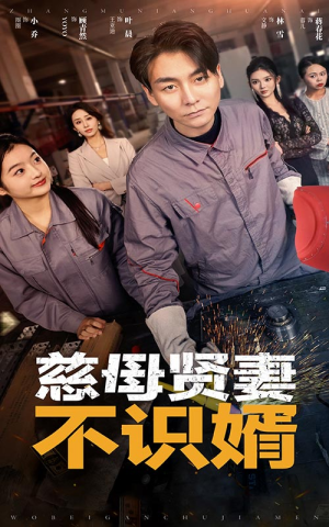 慈母贤妻不识婿（45集）免费观看就是爽