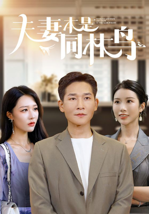 夫妻本是同林鸟(76集) 夫妻本是同林鸟(76集)短剧在线看