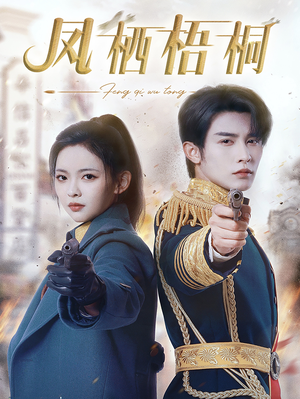凤栖梧桐（68集）完整版免费观看