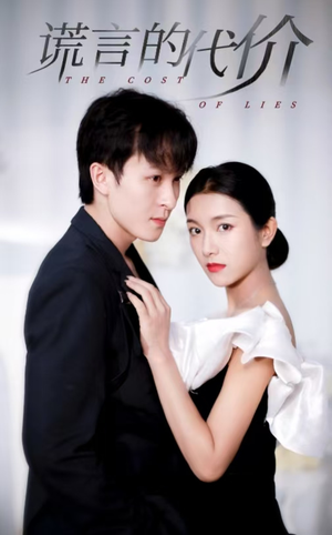 谎言的代价（30集）流畅播放免费看