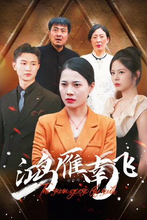 鸿雁南飞（64集）热门短剧抢先