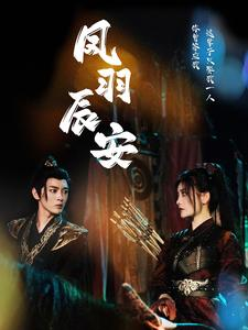 凤羽辰安（100集）热门爆款短剧