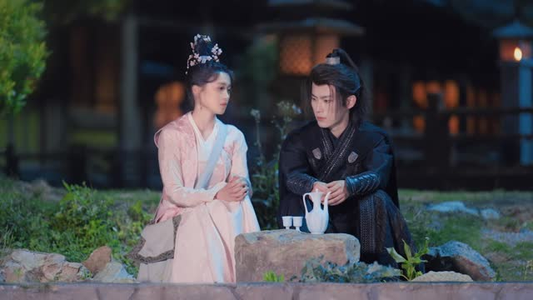 恋恋花颜御捕（25集）在线免费观影