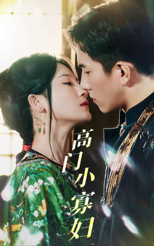 高门小寡妇（60集）免费短剧全集看