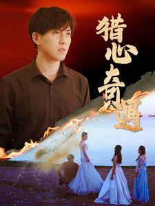 猎心奇遇（91集）最后一集