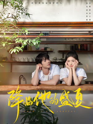 降临他的盛夏（90集）大结局太过瘾了