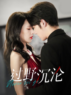 过野沉沦（100集）全集我都看完了