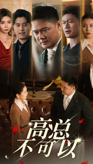 高总不可以（45集）超爽短剧推荐
