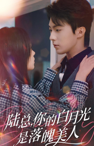 陆总,你的白月光是落魄美人(39集) 陆总,你的白月光是落魄美人(39集)短剧全集免费看