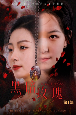 黑暗玫瑰（84集）怎么看全集