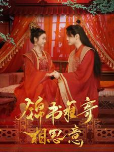 锦书难寄相思意（97集）第二季