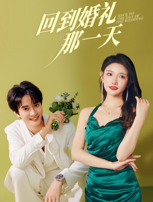 回到婚礼那一天（88集）短剧演员排行榜