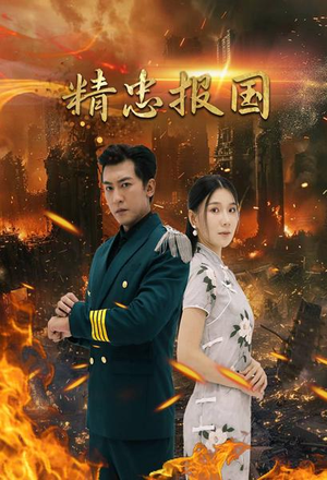 精忠报国（61集）好看的短剧