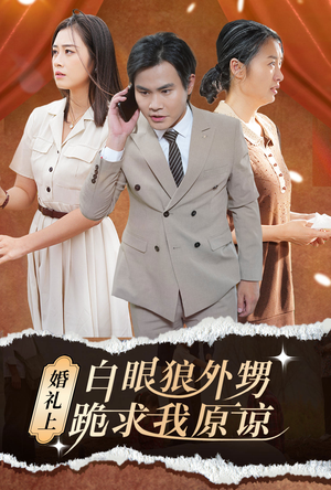 婚礼上白眼狼外甥跪求我原谅（35集）真的太好看了