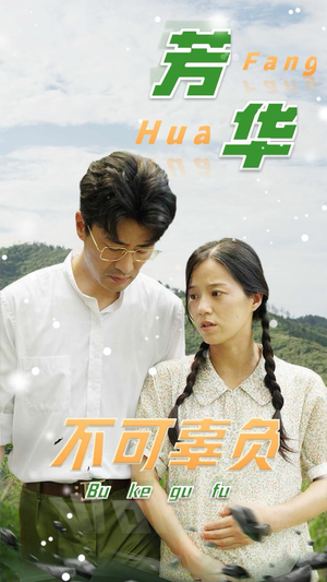 芳华不可辜负（36集）全集免费观看