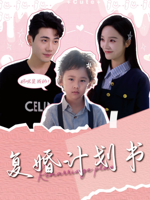 复婚计划书（96集）我真的爱了