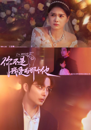 你不是我爱的那个他（54集）一个短剧看全集
