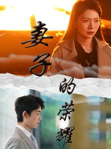 妻子的荣耀（40集）免费短剧资源