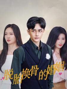 脱胎换骨的婚姻（40集）在线观看