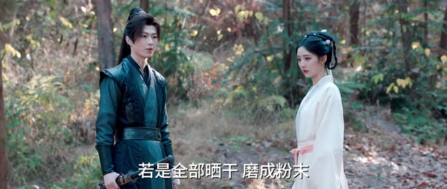 南柯梦（24集）短剧在哪个平台