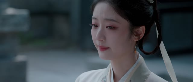 南柯梦（24集）演员表