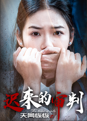 天网恢恢之迟来的审判(31集) 天网恢恢之迟来的审判(31集)好看上头的短剧