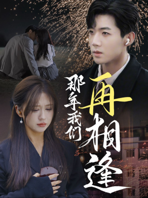 那年我们再相逢（65集）短剧上热门