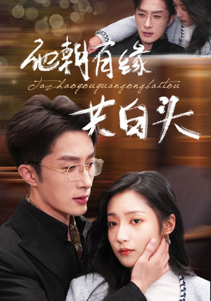 他朝有缘共白头（63集）红果免费短剧