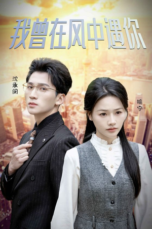 我曾在风中遇你（30集）短剧推荐分享