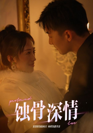 蚀骨深情（54集）在哪个平台看好