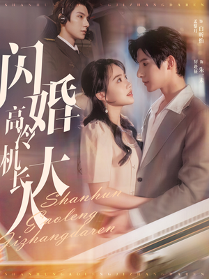 闪婚高冷机长大人（92集）短剧推荐分享