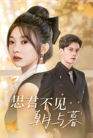 思君不见朝与暮(46集) 思君不见朝与暮(46集)短剧免费观看