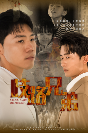 歧路兄弟（63集）视频在线看