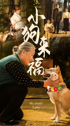 小狗来福(30集) 小狗来福(30集)贝贝短剧分享