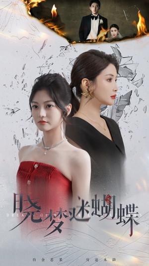 晓梦迷蝴蝶（76集）百度网盘资源