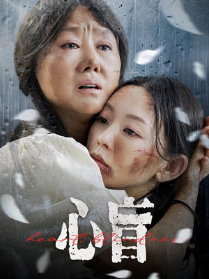 心盲（100集）短剧在线更新