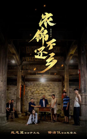 衣锦不还乡（69集）短剧热播推荐