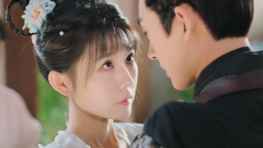 小女不听将军令（24集）热门短剧追不停