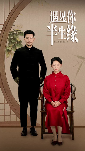 遇见你半生缘（65集）直接追到结尾