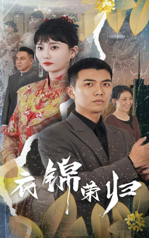 衣锦荣归（81集）短剧全集免费看