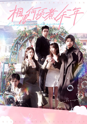 相思何须煮余年（33集）推荐热门短剧