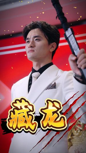 藏龙(30集) 藏龙(30集)看到大结局