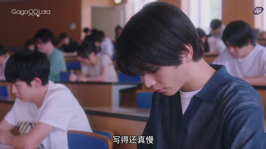 向阳之处必有声（12集）在线看完整版