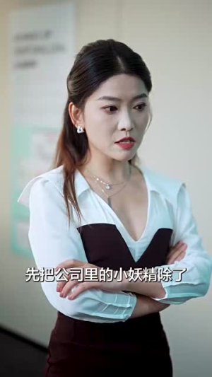 愿以白云初见君（80集）追短剧看全集