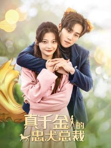 真千金的忠犬总裁（74集）精彩短剧免费看