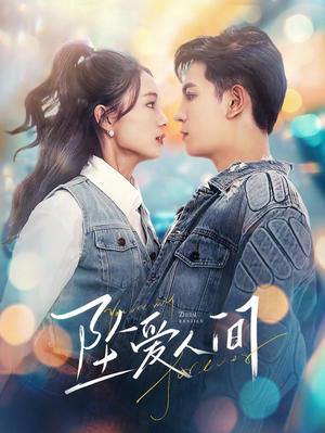 坠爱人间（81集）短剧在哪里看