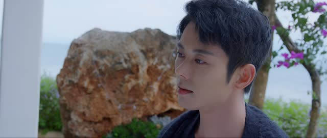 向北的遗憾（20集）在哪个平台能看