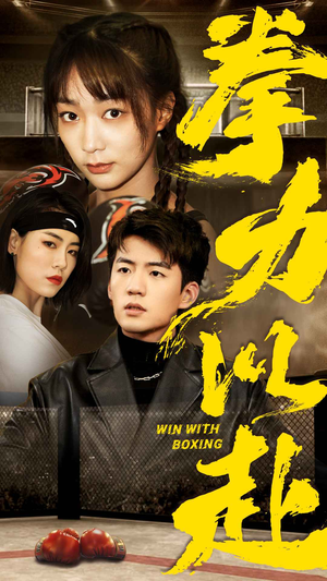 拳力以赴（80集）热门了短剧