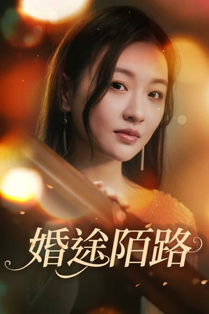 婚途陌路（15集）评价怎么样